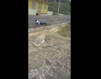 man in white trips twice on the same skateboard