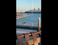 Collab IITW - Man in black top crouches and points from the dock