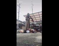 Girl jumps on guys back falls challenge