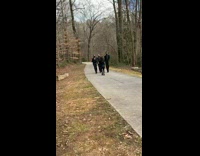 Three guys tap glass camerawoman stumble down