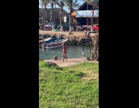 Man island outfit poses with phone behind