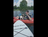 Cat falls into the lake water when trying to board paddleboard