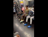 Collab Subway_Creatures - Man with pet snake and iguana on subway