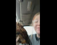 Girl saved chicken from dog on freeway 