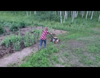 Man scream jump scare woman mow lawn