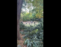Group of people swing stick practice park