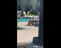 old man red speedo dance poolside