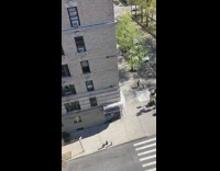 Guy walks around clean sidewalk leaf blower 