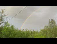 Rainbow arc over trees road rain