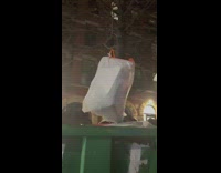 Garbage bag hangs above dumpster 
