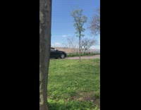 Black car drives park safe distance announcement 