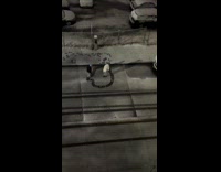 Couple drawing in snow