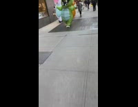 Unicorn crocodile giraffe inflatable costumes walk sidewalk 