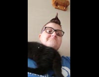 Black cat walk in front of filmer