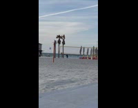 Woman in Black Bikini Poses with Palm Tree 