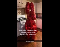 Sister cry in large red balloon animal costume