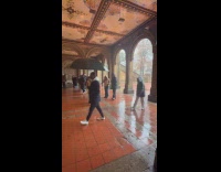 Man plays pochette serenades tourists at park