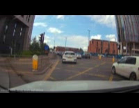 Goose crosses the road at pedestrian lane