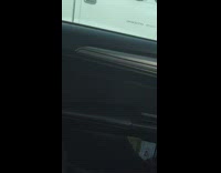 Small white dog honks truck horn