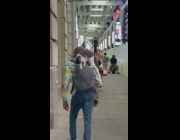 Man walks and cat at his bag pack stands on it