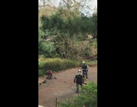 Guys at park wear medieval knight costumes 