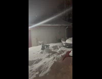 Person use shovel throw snow on dog