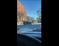 Guy sees person wearing brown bear costume 
