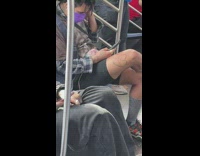 Guy on train pets white animal on lap 