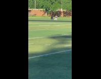 Girl purple tube kneel pose field park