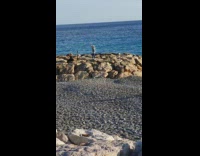 Guy with microphone point upward beach jetty
