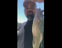 Guy asks if small fish looks big 