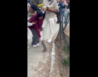 Woman feeds squirrel from hand at park