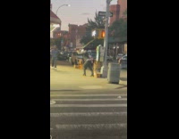 Man does pull workout on the street