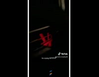 Deer jumps off of bridge