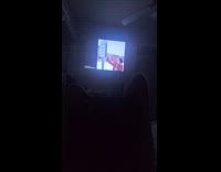 Cat loves to watch videos on tv