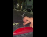 Collab Clips mpugc - Praying mantis grabs guys finger freaks out