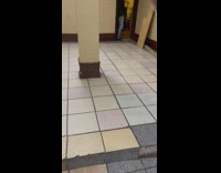 Snake in apartment next to ladder down hallway