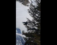 Man ride snowboard on ramp falls and scorpions