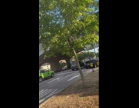 Fish on Brighton sidewalk 