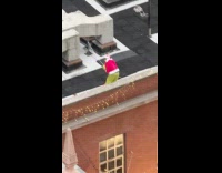 Man in Grinch costume on Fire Department 