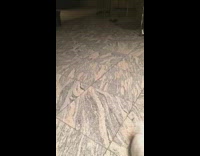 Small white puppy dog knocks over water bottle then attacks it