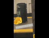 Mouse walks around black trash can in subway station, cheese emoji