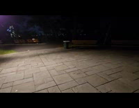 Raccoon push pizza box that blocks barrel