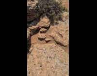 Filmer sees view on top of canyon