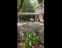 Little boy kicks ball into tire 