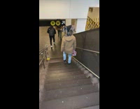 Guy walks down stairs with dog in sweater on his shoulders 