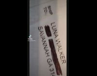 Cat gets cowboy hat with pigtails package