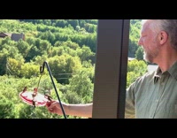 Hummingbird birds fight over red feeder balcony 