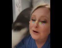 Cat climbs girl to get to sink 