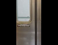 Lone eyelash stuck on train door window